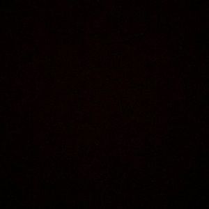 Meet your Posher, Jasmin